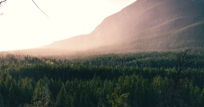 Nutritional consultation